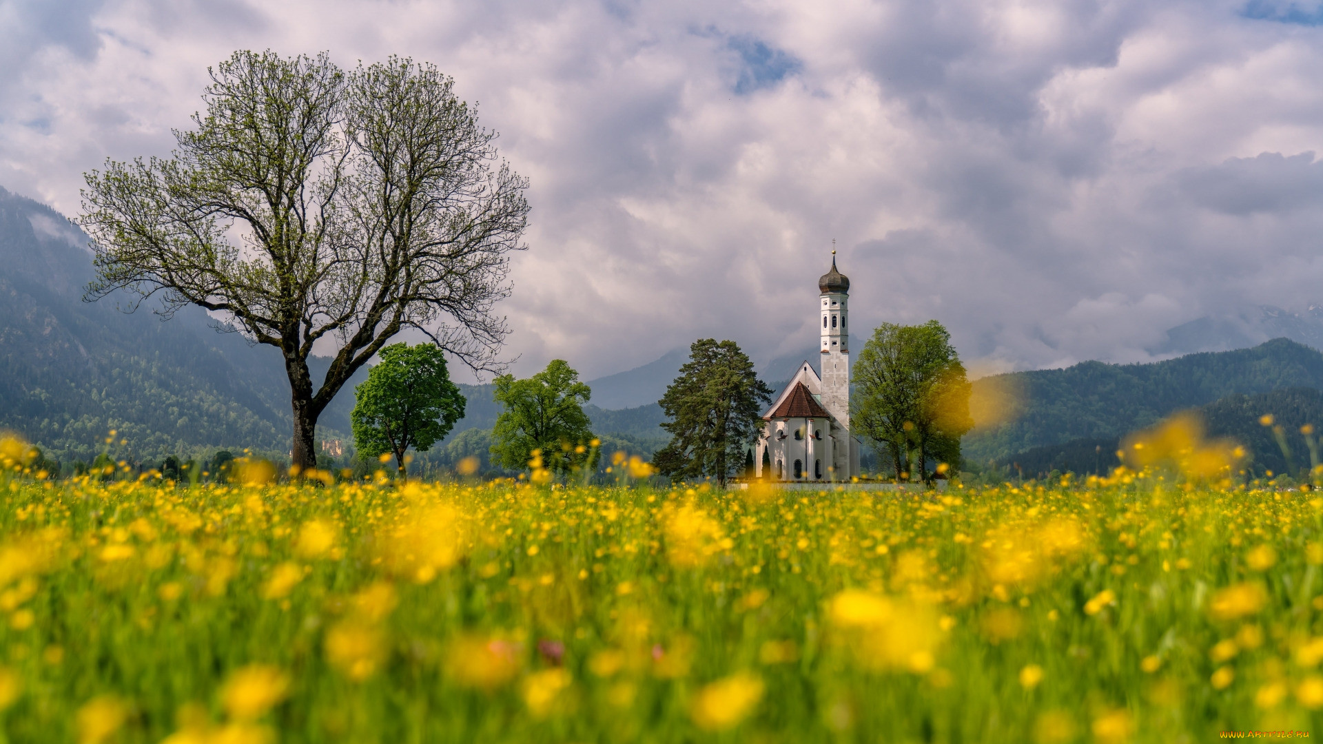 st coloman church, schwangau, bavaria, , -  ,  ,  , st, coloman, church